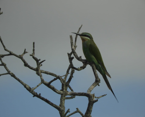 Kabeljous reserve Kabeljous reserve