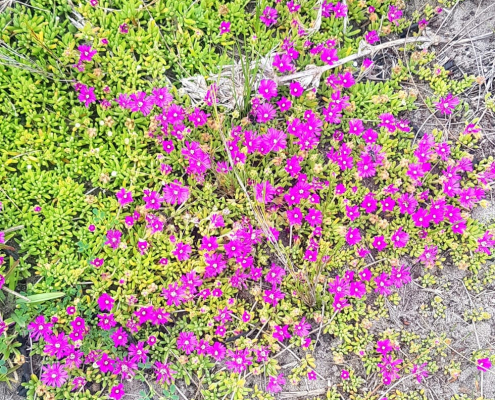 Kabeljous reserve Kabeljous reserve