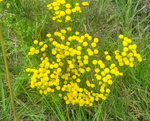 Kabeljous reserve Kabeljous reserve
