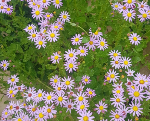 Kabeljous reserve Kabeljous reserve