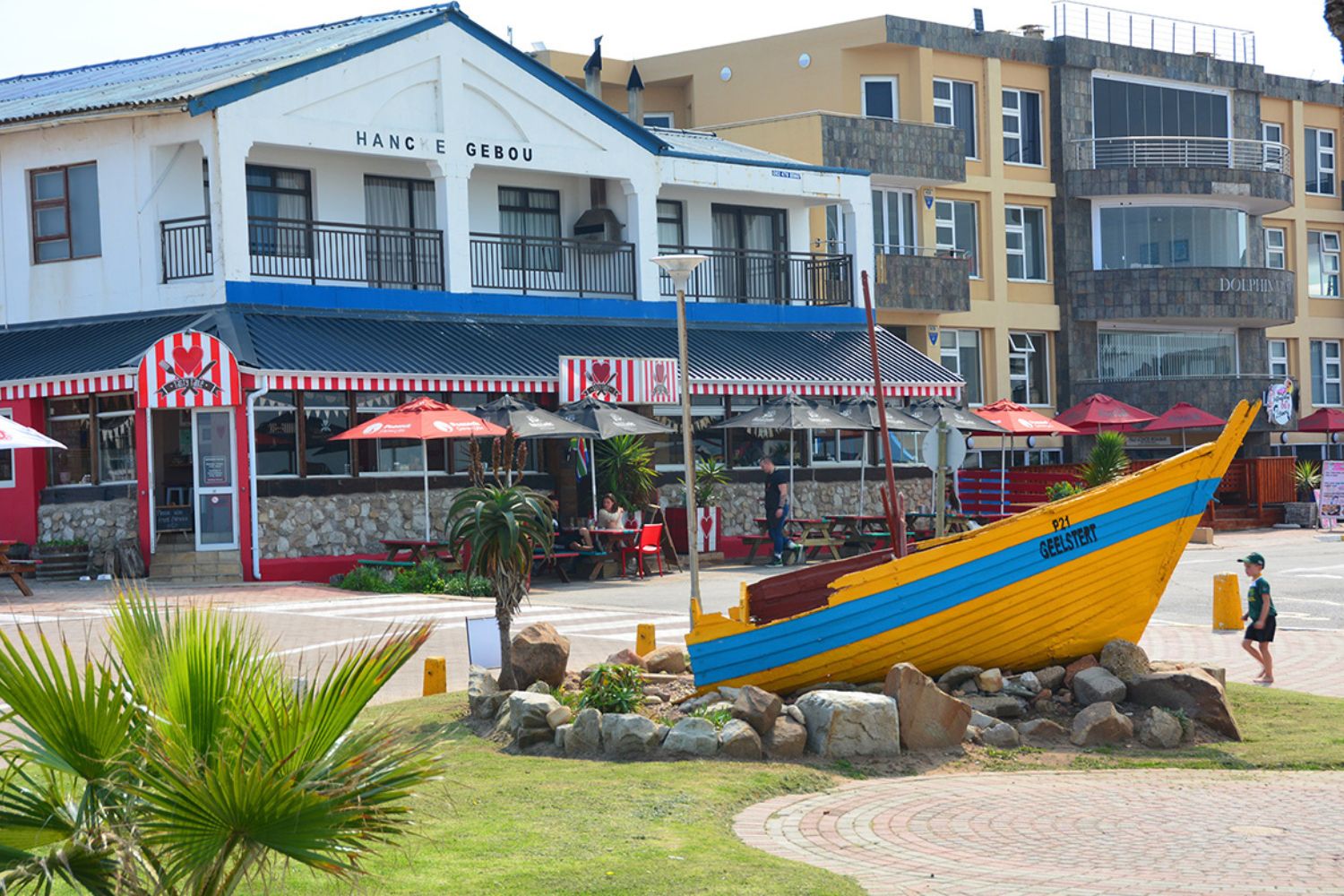 Geelstert on display today